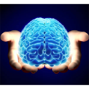 Neuromarketing Cerebro